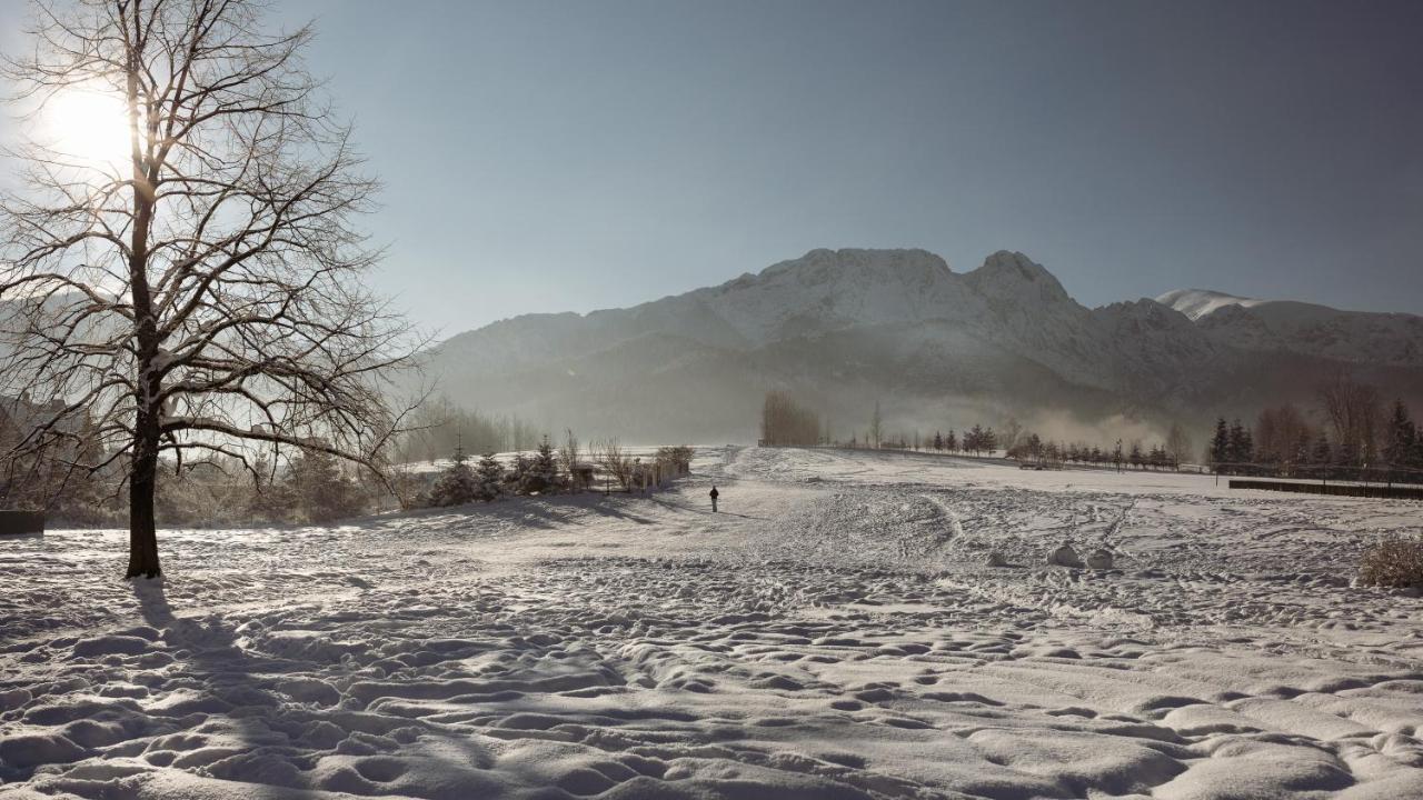 Dom Pod Lipkami Apartment Zakopane Luaran gambar